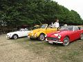 33 ste Crijtfeesten en 4de Crijtrally op 25 juli 2010-Terlogt Diepenbeek (49)